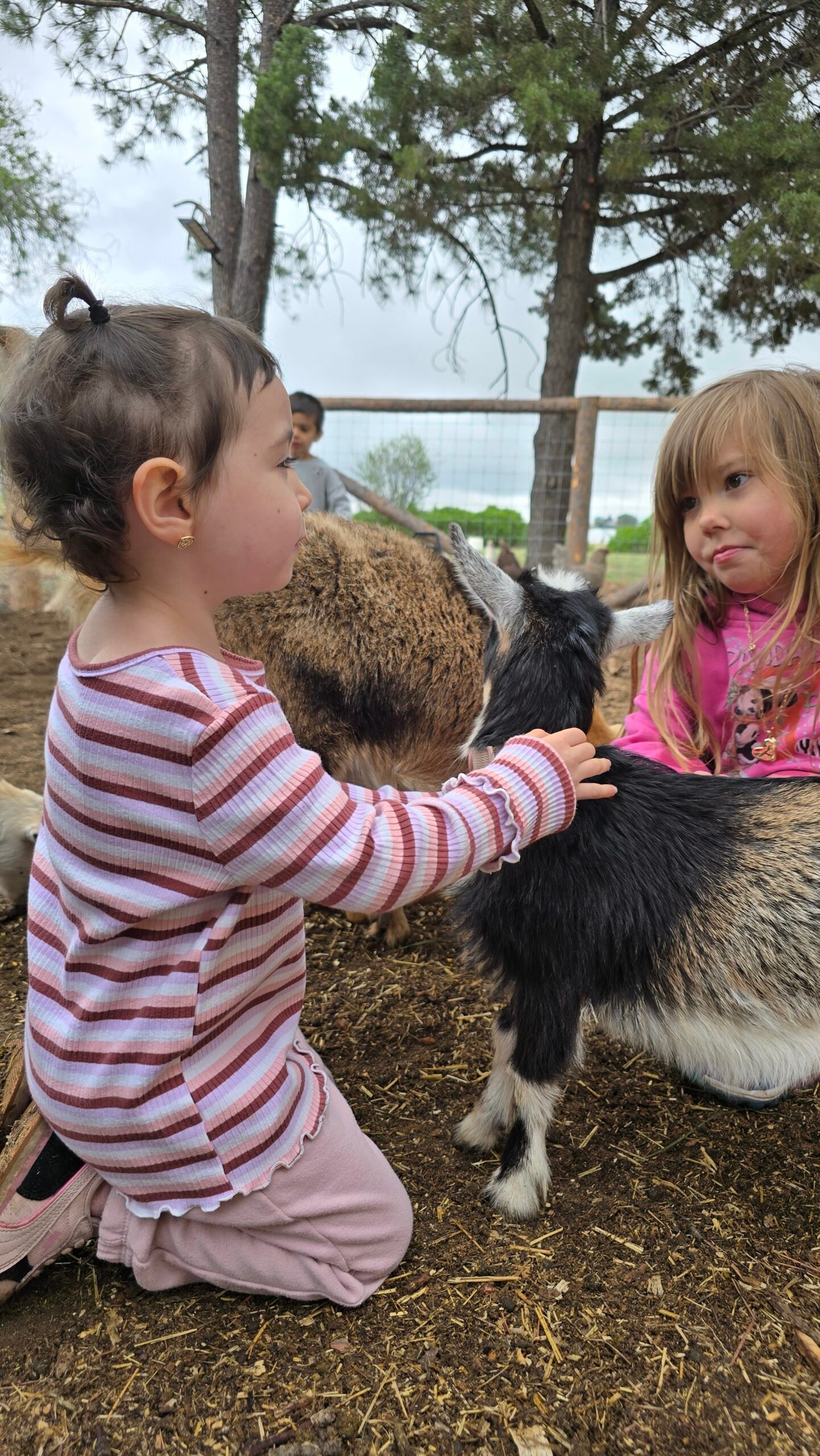 children playing at Candyland Daycare